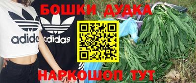 ALPHA PVP Бийск